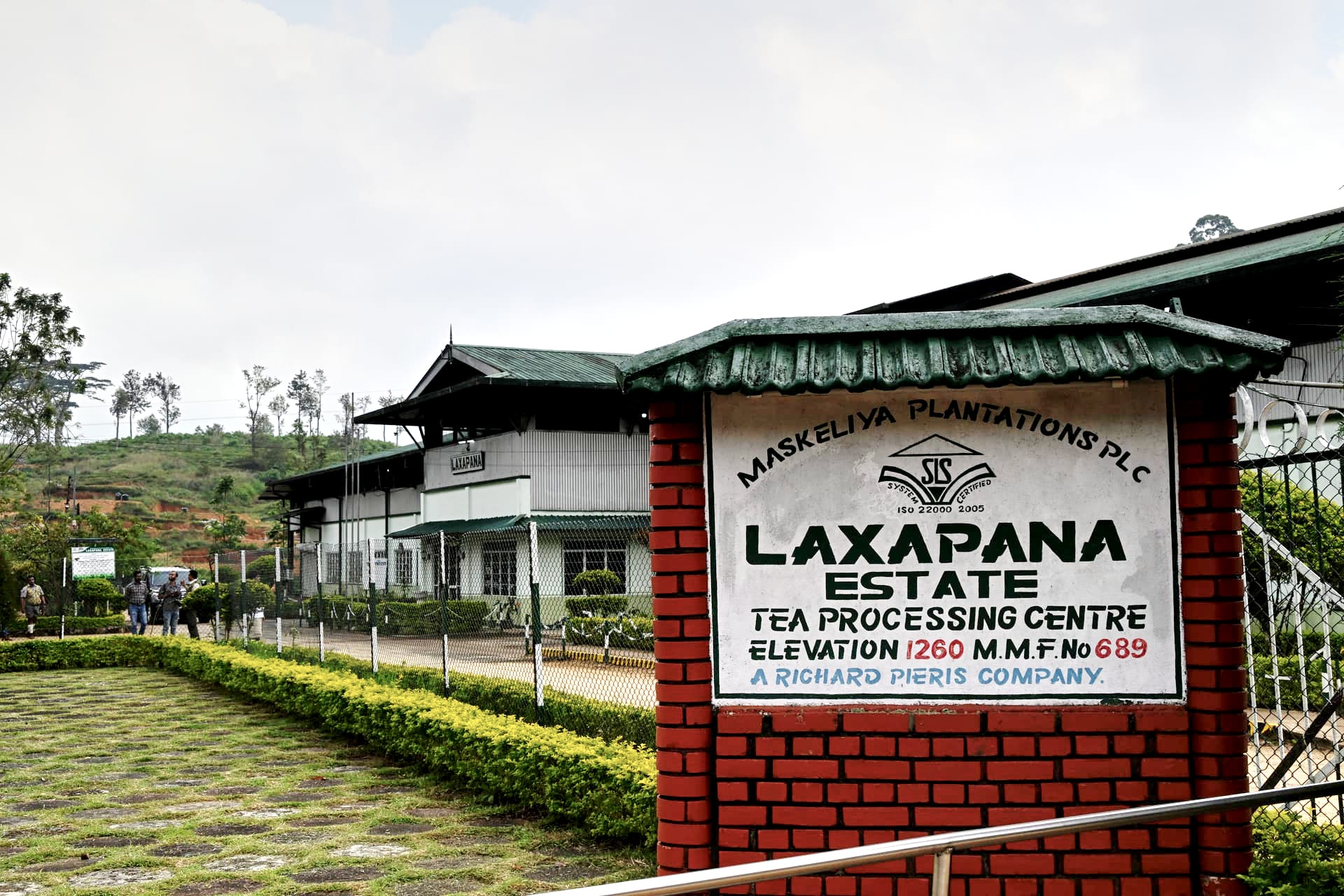 Tea processing at the Laxapana factory