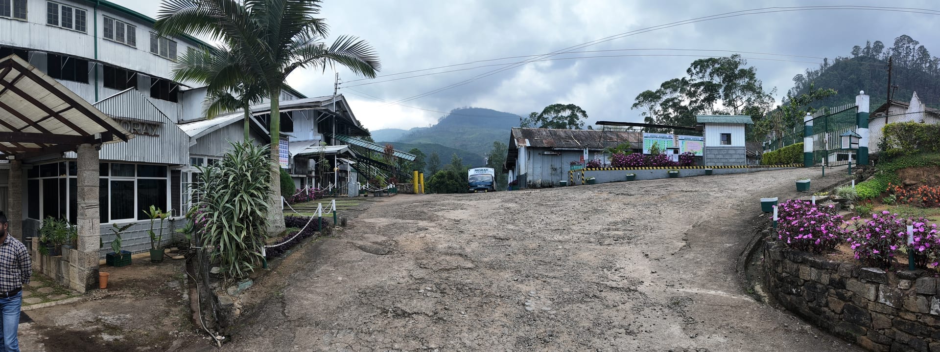 Sorting and packing at the Laxapana factory